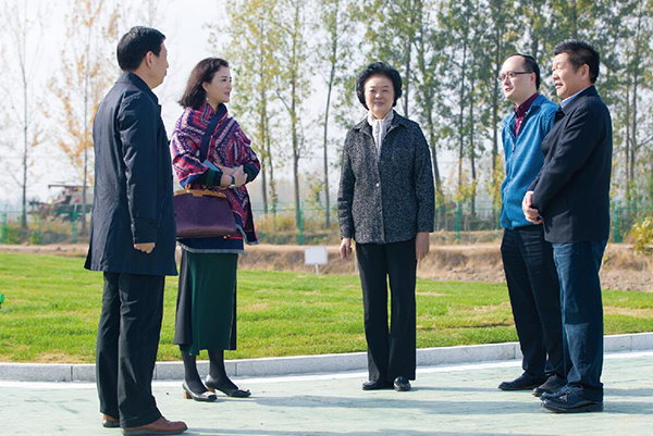 Zhang Yan, deputy director of the Provincial People's Congress, visited the Oriental Group