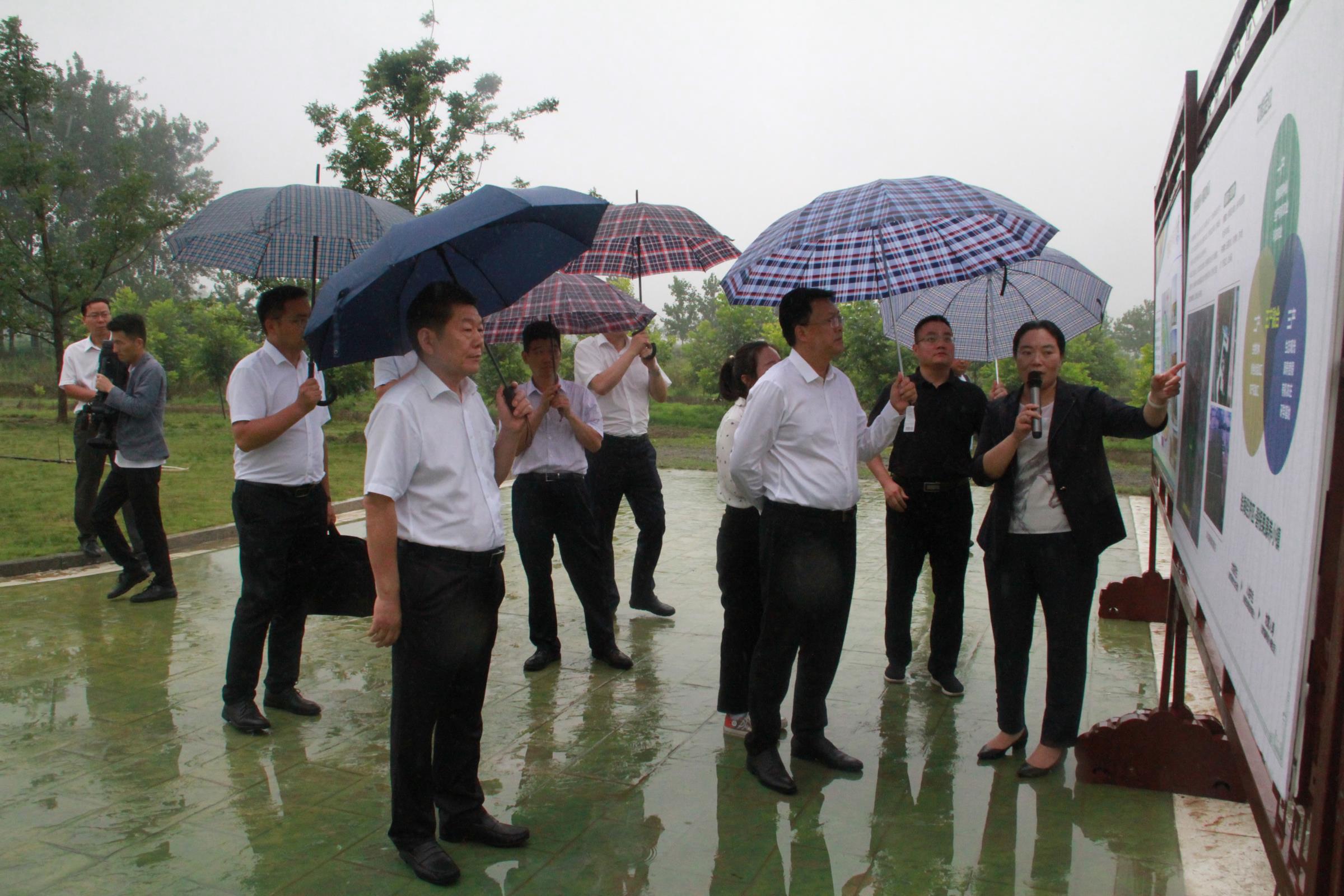 Liu Guomin, Chairman of the Group Company, Accompanied Wu Weidong, Secretary of CPC Municipal Committee,