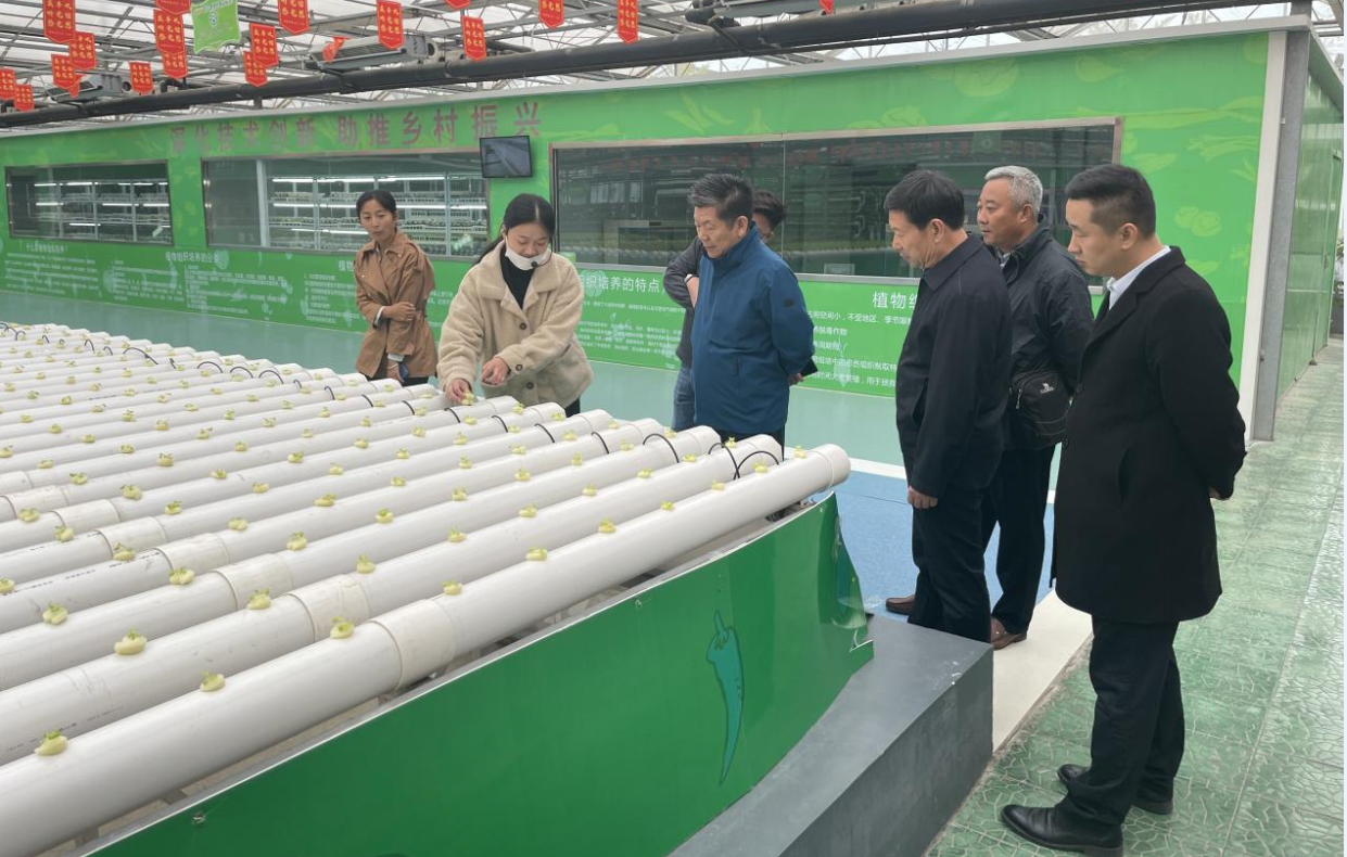 Chairman Liu and His Team Went to Shandong Province to Investigate The Modern Science And Technology Agricultural Demonstration Park And The Recreation Town Program